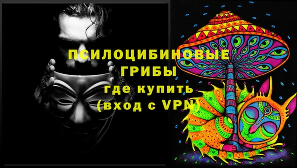 2c-b Алексин