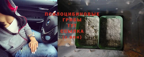 a pvp Алексеевка