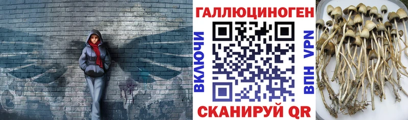 Галлюциногенные грибы ЛСД  наркошоп  Ставрополь 